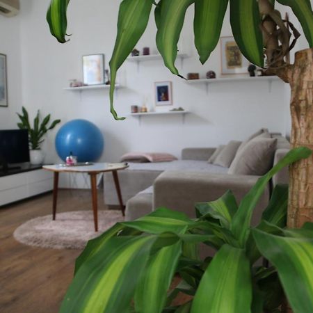 Cosy Apartment - 10 Minutes Walk To Sea Zadar Exterior photo