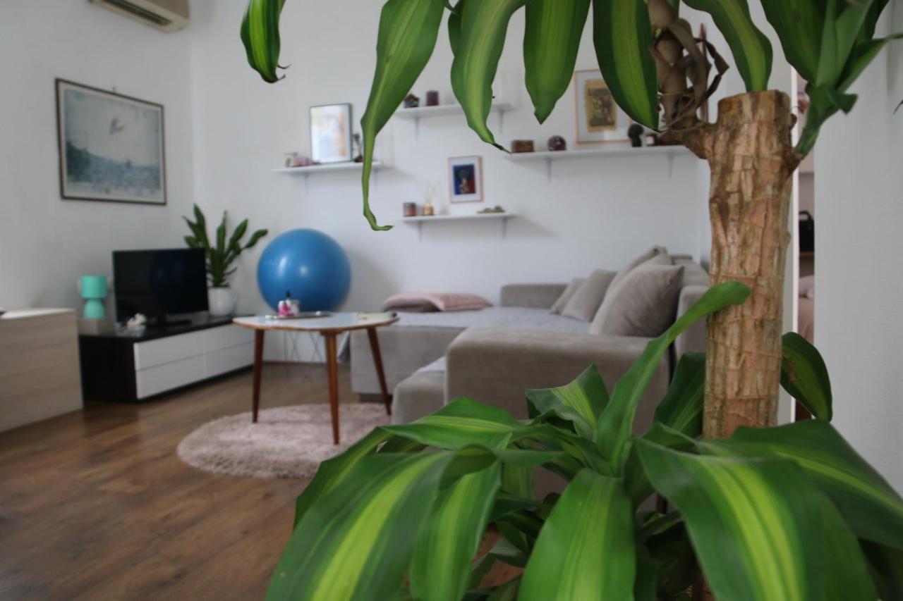 Cosy Apartment - 10 Minutes Walk To Sea Zadar Exterior photo